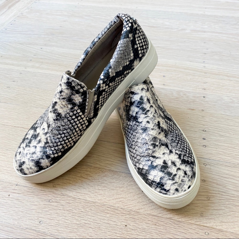 Steve Madden Snakeskin Platform Sneakers